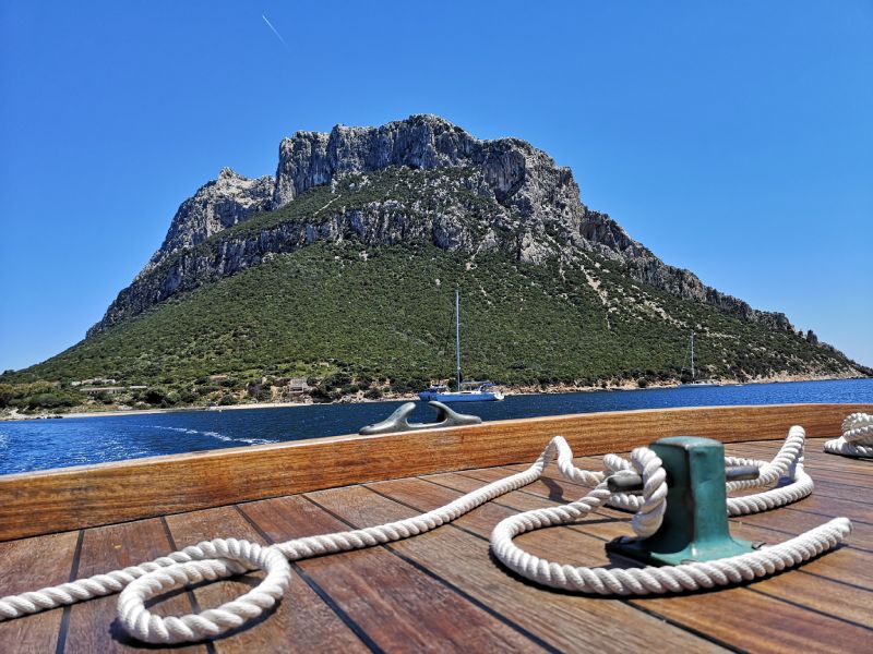 escursione all'Isola di Tavolara