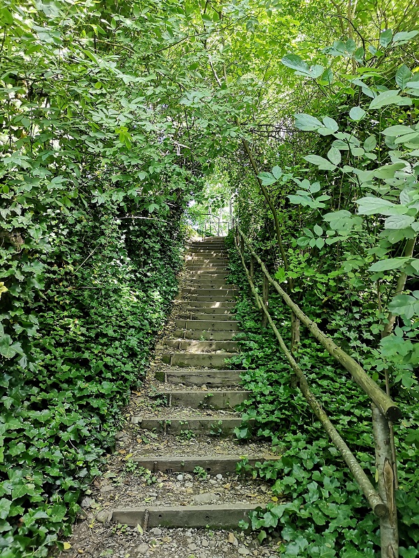 escursioni a Parma e dintorni – il Parco fluviale del Taro: l’ingresso nel bosco