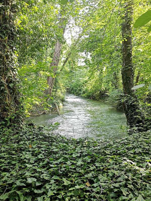 escursioni a Parma e dintorni – il Parco fluviale del Taro: il fiume scorre parallelo al sentiero