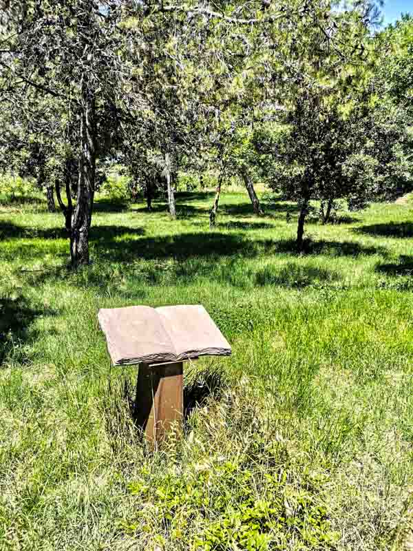 leggere nel bosco