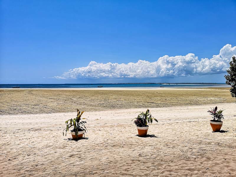 viaggio a zanzibar l'alternanza delle maree