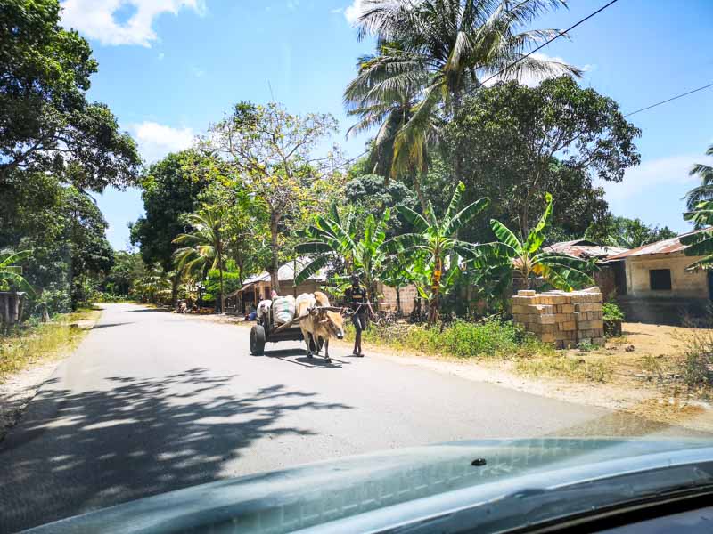 consigli di viaggio per Zanzibar