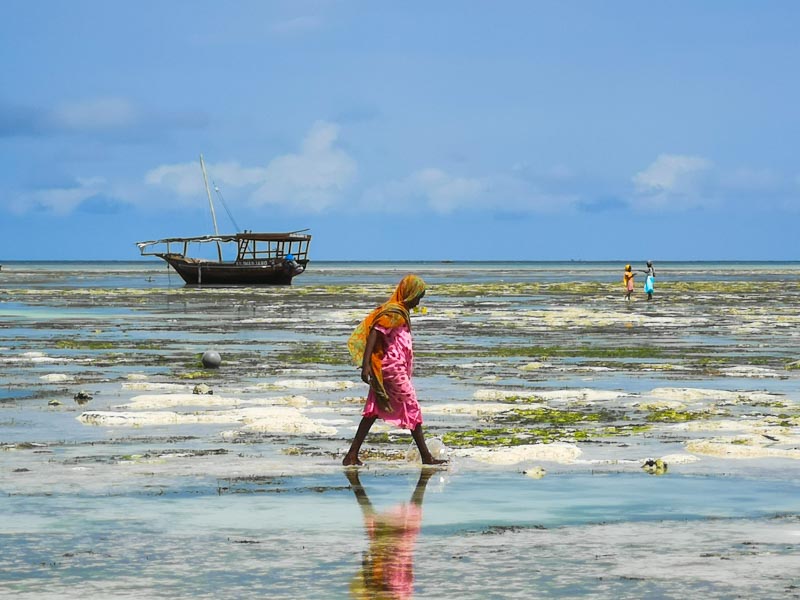 bambine di zanzibar