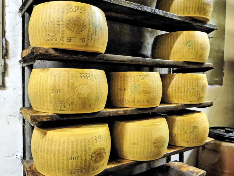 diari del parmigiano