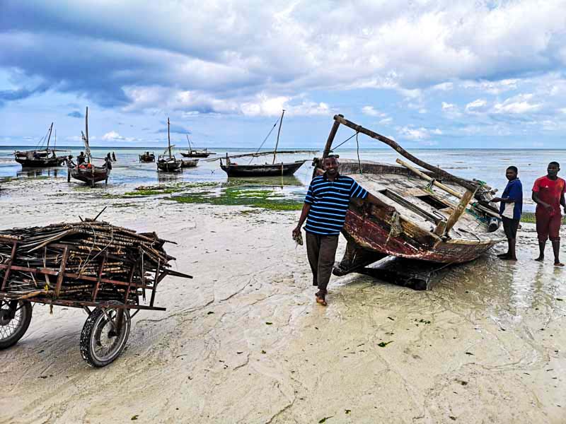 costruttori di dhow