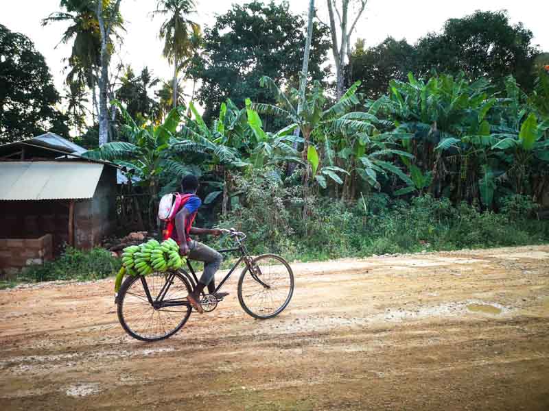 tra la gente di Zanzibar