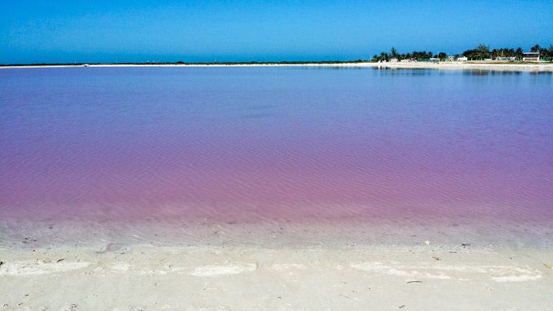 Las-Coloradas