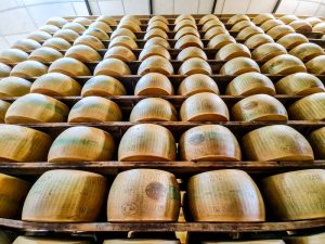 Cose da fare a Parma