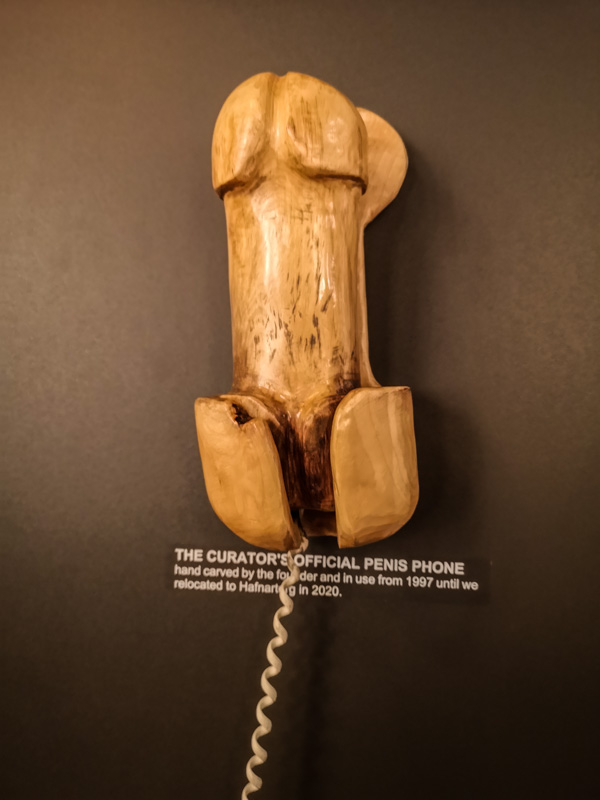il telefono del direttore del museo è a forma di membro maschile